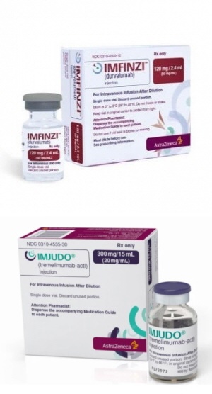 Imfinziimjudo Combo Approved For Liver Cancer In Kor 8978