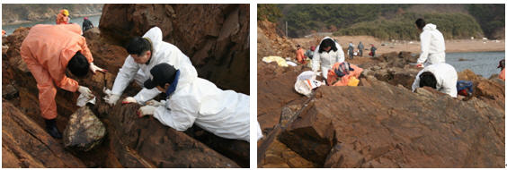 태평양제약, 태안지역 자원봉사 활동 실시