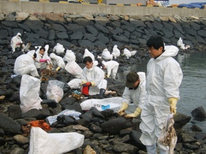 이노베이션약품, 태안서 기름제거 봉사활동