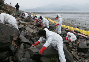 심평원, 태안반도 기름유출 방제 봉사활동