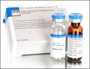 '피내용 BCG백신SSI주' 1바이알 포장 발매