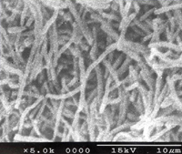 일동, 균주 이용 칼시트리올 생산기술 개발