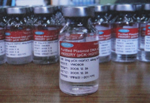 이연제약, 유전자치료 신약 2품목 출시기대