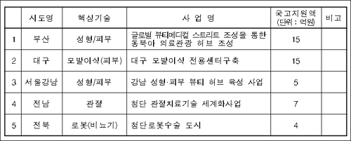서울강남 '성형' 등 의료허브 5개 지역 확정