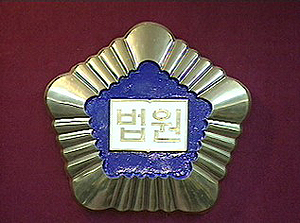 "약사 상담중 종업원 조제 행정처분 정당"