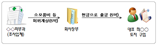 피부과원장, 5억 허위계상…"땅 사고 유학 보내고"