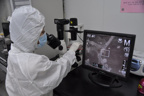 칼로덤, 당뇨성 족부궤양 적응증 추가 승인