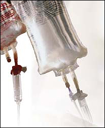 약국 14곳·도매상 6곳, 수액제 불법유통 덜미