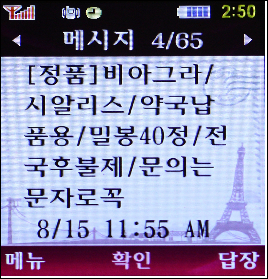 가짜 비아그라 밀수입 심각…5년새 23배 폭증