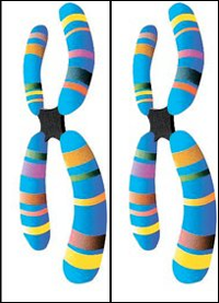 EPO 등 주요 바이오의약품 국내 첫 재평가 실시