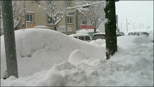 강원도 영동 폭설로 의약품 공급 마비
