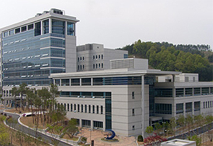 "한약 먹고 환자사망"…한의사에 '금고 1년' 실형