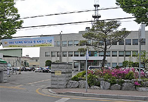 전문카운터에 약 판매시킨 60대 부부약사 입건