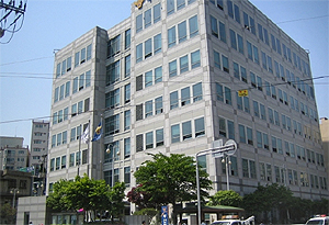 병원약사 집 주변 잠복…무자격자 조제 잡았다 