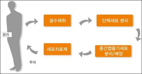 세계 최초 '줄기세포치료제' 식약청 정식 허가 