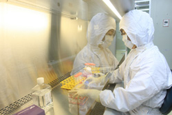 부족한 상업화 임상시험, 시판 후 조사로 메워질까