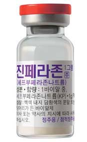 국제, 세팔로스포린계 항생제 '진페라존주' 발매
