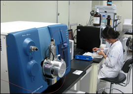 26일부터 2개사 이내  공동생동 제한 규제 폐지