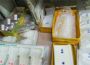 "약사는 출장중"…무자격자 고용약국 4곳 적발