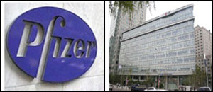 화이자, '가나톤·프레탈' 제네릭 국내영업 개시