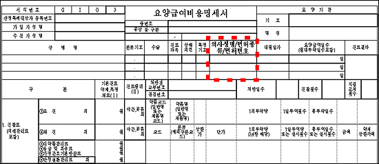 '의약사 청구 실명제' 예정대로 하반기 시행 추진