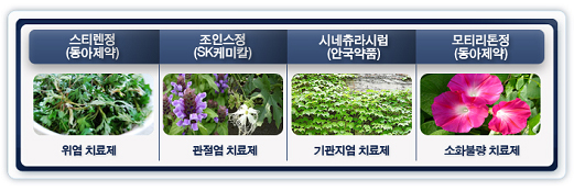 황순원 소설 '소나기'에 300여건의 신약 특허가