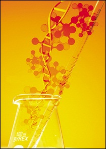 국내 첫 배아줄기세포 임상 임박, 여전한 찬반 논란
