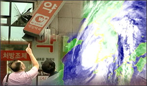 "간판 떨어지고 유리창 깨지고"…약국, 태풍에 녹초