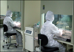 동아-녹십자, 최첨단 세포치료제 새 성장동력으로