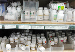 약국도매가 '봉이냐'…차액정산 등 병원도매와 차별