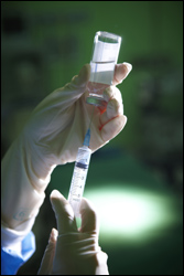 독감백신 가격 담합 제약사 '희비'…판결 엇갈려 
