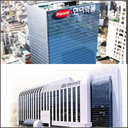 FDA약물 vs 복부비만 천연물신약…일동-한미 '격돌'