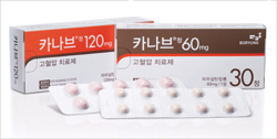 보령 고혈압약 '카나브' 의사 대상 슬로건 공모
