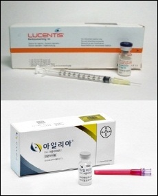 루센티스·아일리아, 투약편의성 두고 '신경전' 
