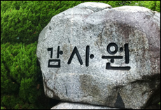 고양이에 생선가게 맡긴 병원…직원 특진비 횡령