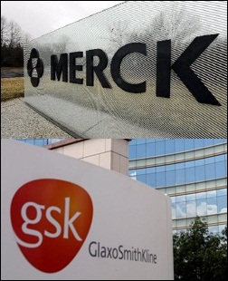 GSK, 조스타박스 대항마 '일발장전'…MSD와 격돌