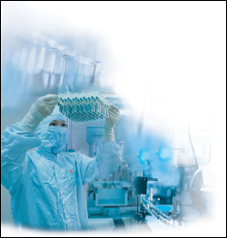 진화하는 독감백신…세포배양 4가백신 경쟁 예고
