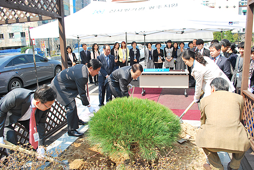 손명세 심평원장, 직원 격려하고 식목행사도 가져