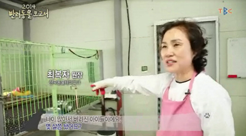 약사 운영 유기견 보호소 수의사 등살에 폐쇄위기