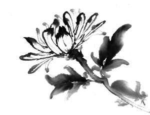 40대 여약사 죽음 뒤 청구불일치와 팜파라치 있었나?