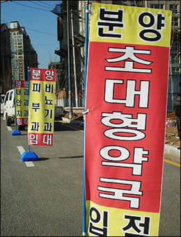 "6년제 나오기 전 서두르자"…근무약사 개국 '붐'