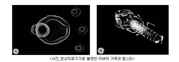 GE헬스케어, 의료영상장비로 찍은 '사진전'

