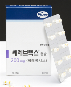 쎄레브렉스 제네릭 내년 출시…상위 6개사 모였다
