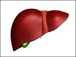 MSD·애브비·BMS, 길리어드 추격 시동 