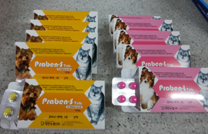 동물약국협회 구충제, 공구 시작 10일만에 완판