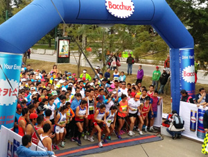 동아ST, 박카스 글로벌 현지 마케팅 강화