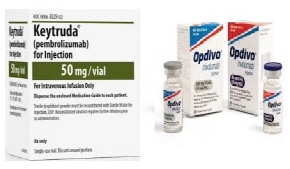 면역항암제 키트루다·옵디보, 동시 국내 허가