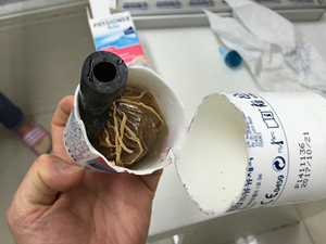 잘 나가던 일반약 발목잡은 블로거의 섣부른 호기심