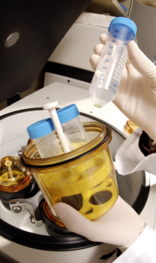 세비카HCT 2배↑…국내사 3제 복합제 3상진입 탄력