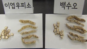 [2015 10대뉴스]⑨ 백수오 파문에 건기식 초토화